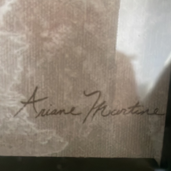 Adriane Martine Black Plum print 17 inch square. Framed no imperfections - Picture 4 of 4